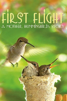 First Flight: A Mother Hummingbird's Story
