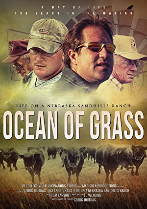 Ocean Of Grass: Life On A Nebraska Sandhills Ranch