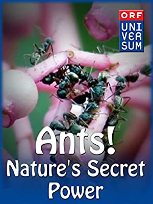 Ants: Nature's Secret Power