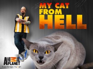 My Cat From Hell: Season 9