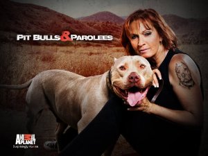 Pit Bulls And Parolees: Season 8