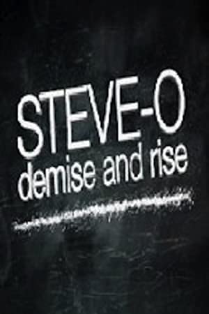 Steve-o: Demise And Rise
