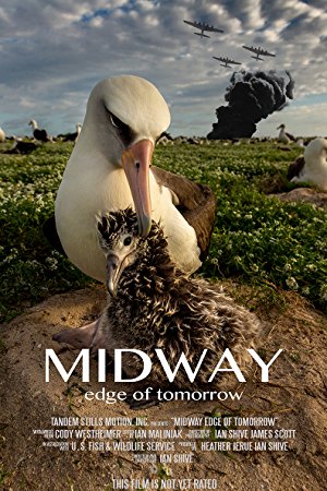 Midway: Edge Of Tomorrow