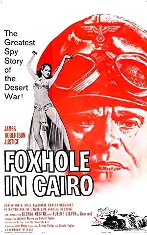 Foxhole In Cairo