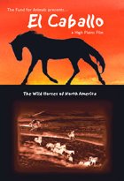 El Caballo: The Wild Horses Of North America