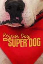 Rescue Dog To Super Dog (us): Season 1
