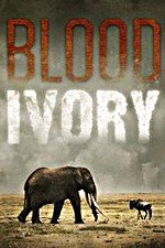 Blood Ivory: Season 1