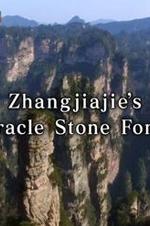 Zhangjiajies Miracle Stone Forest